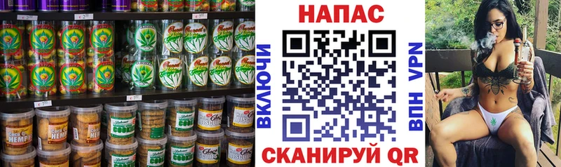 Cannafood конопля  Шагонар 